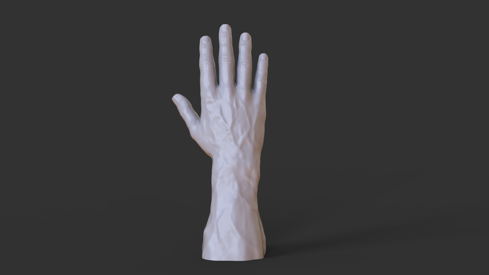 Male Hand Pose 3D print model_7