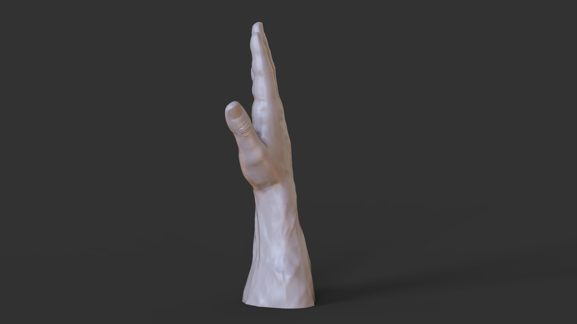 Male Hand Pose 3D print model_5