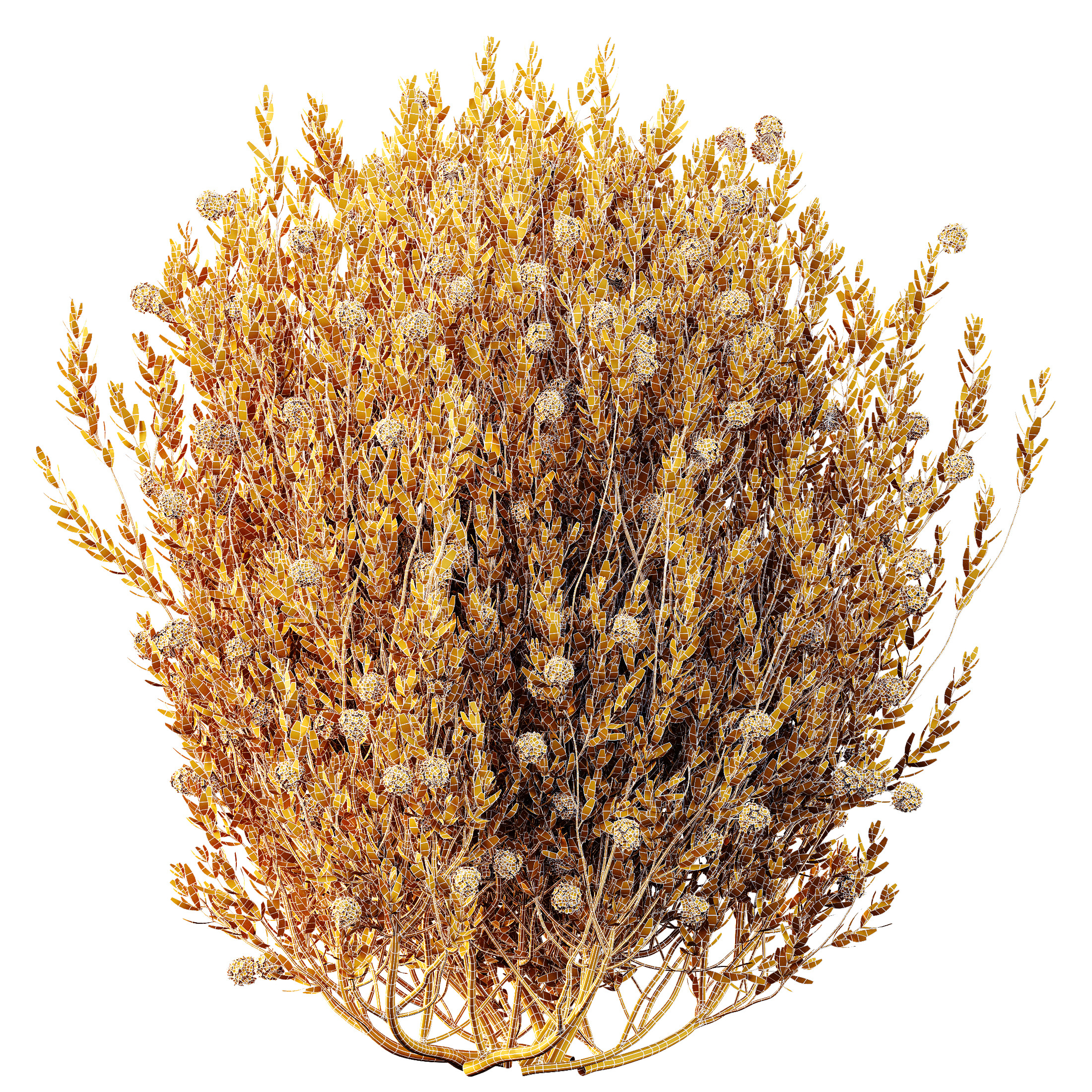 AV Spring flowering shrubs Nerium Rose Pink and Ixora Jasmine 3D model_6