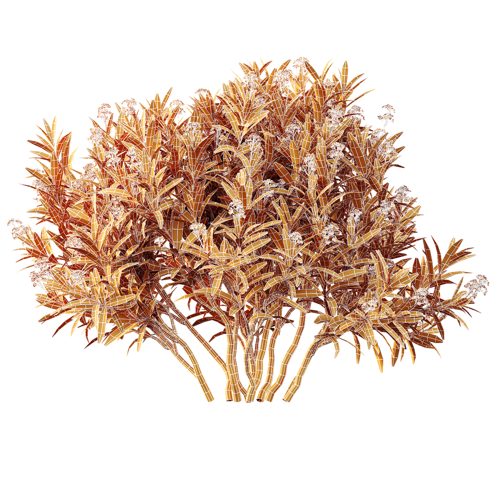 AV Spring flowering shrubs Nerium Rose Pink and Ixora Jasmine 3D model_8