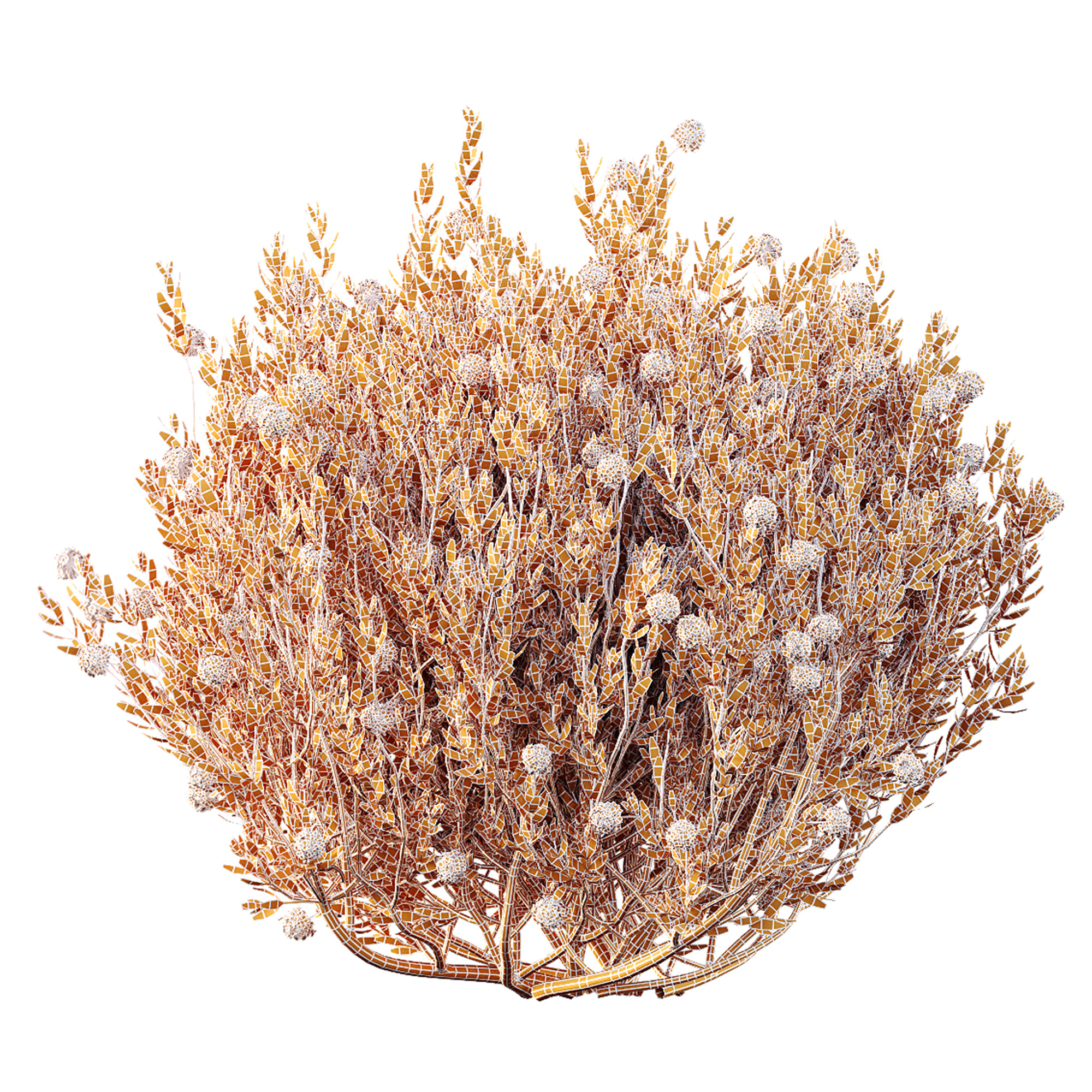 AV Spring flowering shrubs Nerium Rose Pink and Ixora Jasmine 3D model_9