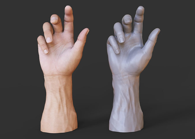 Male Hand Pose 3D print model