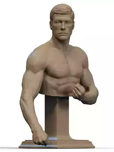 Frank Dux Bust 3D Print
