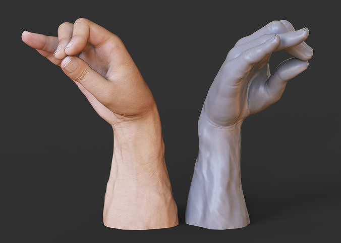 Male Hand Pose 3D print model
