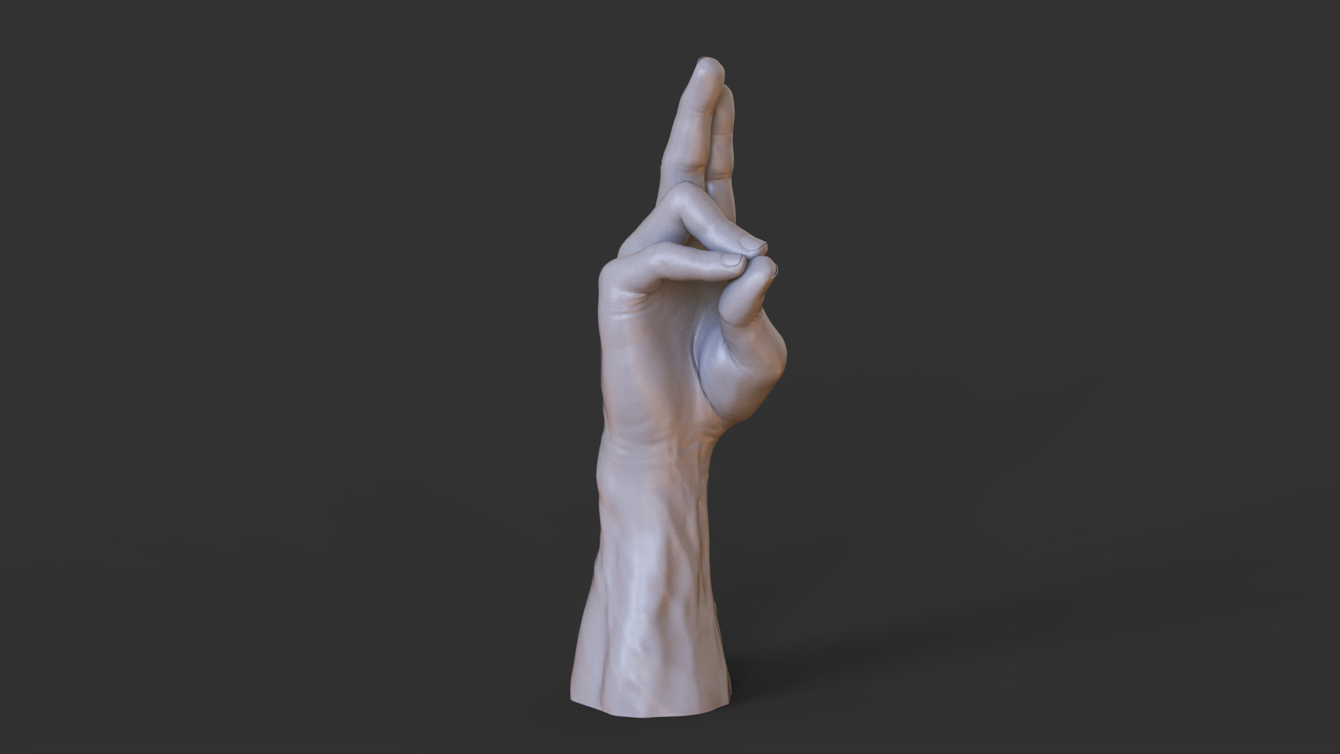 Male Hand Pose 3D print model_10