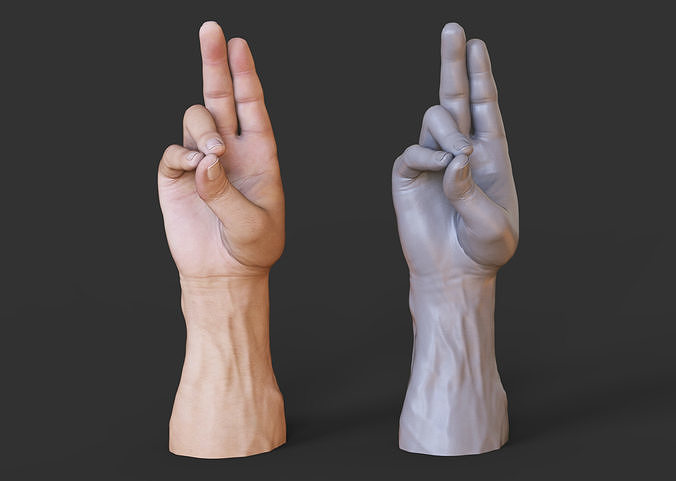Male Hand Pose 3D print model