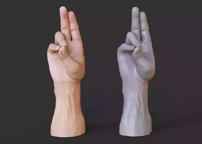 Male Hand Pose
