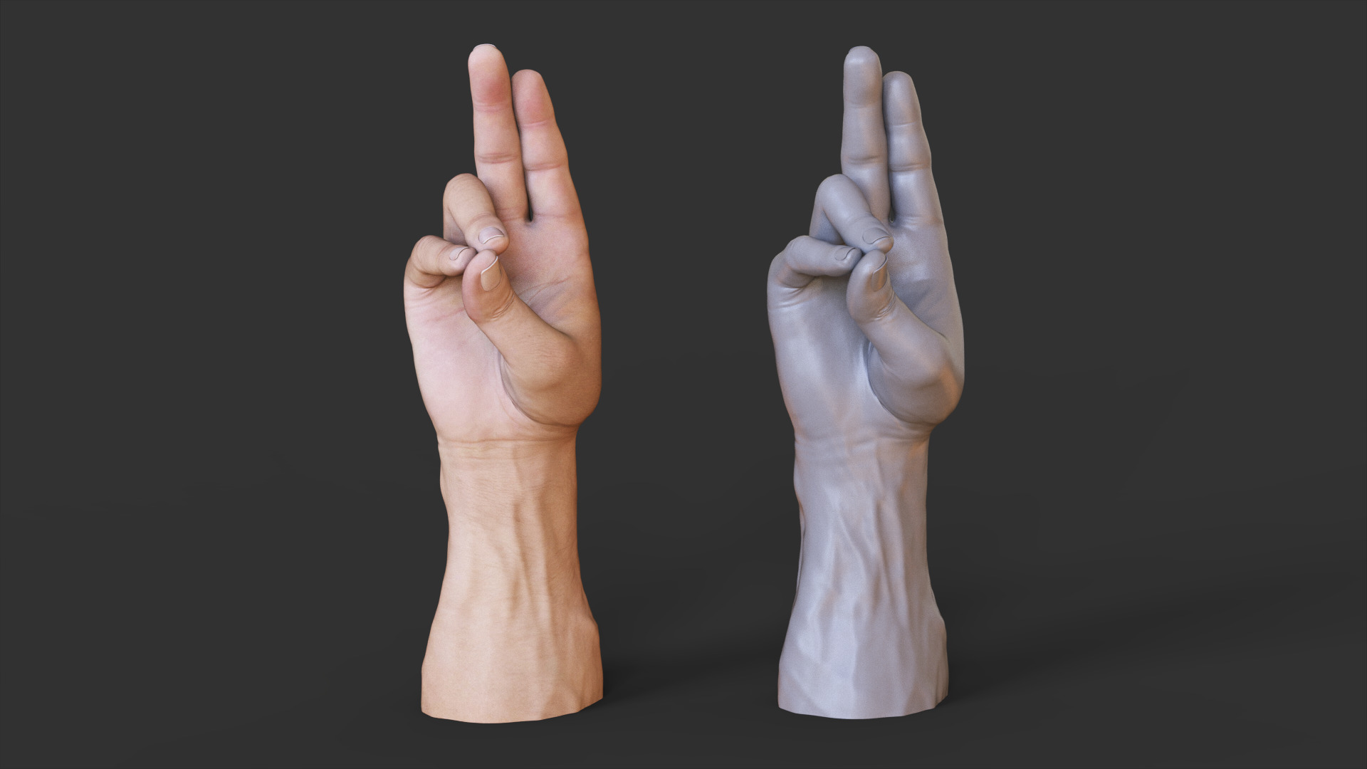Male Hand Pose 3D print model_1