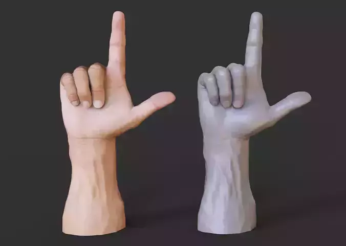 Male Hand Pose