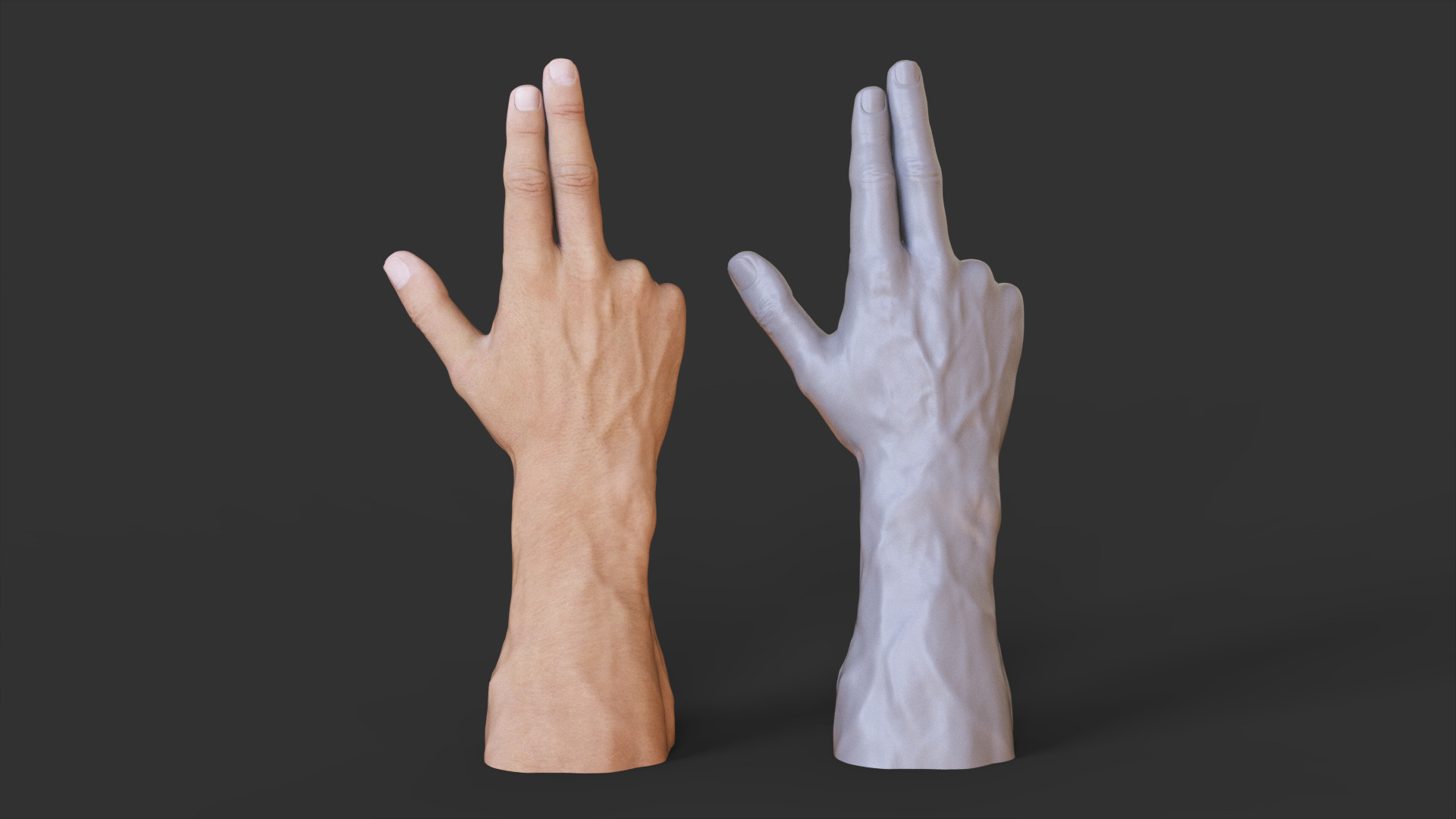 Male Hand Pose 3D print model_2