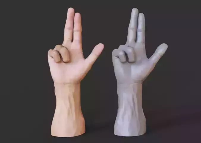 Male Hand Pose