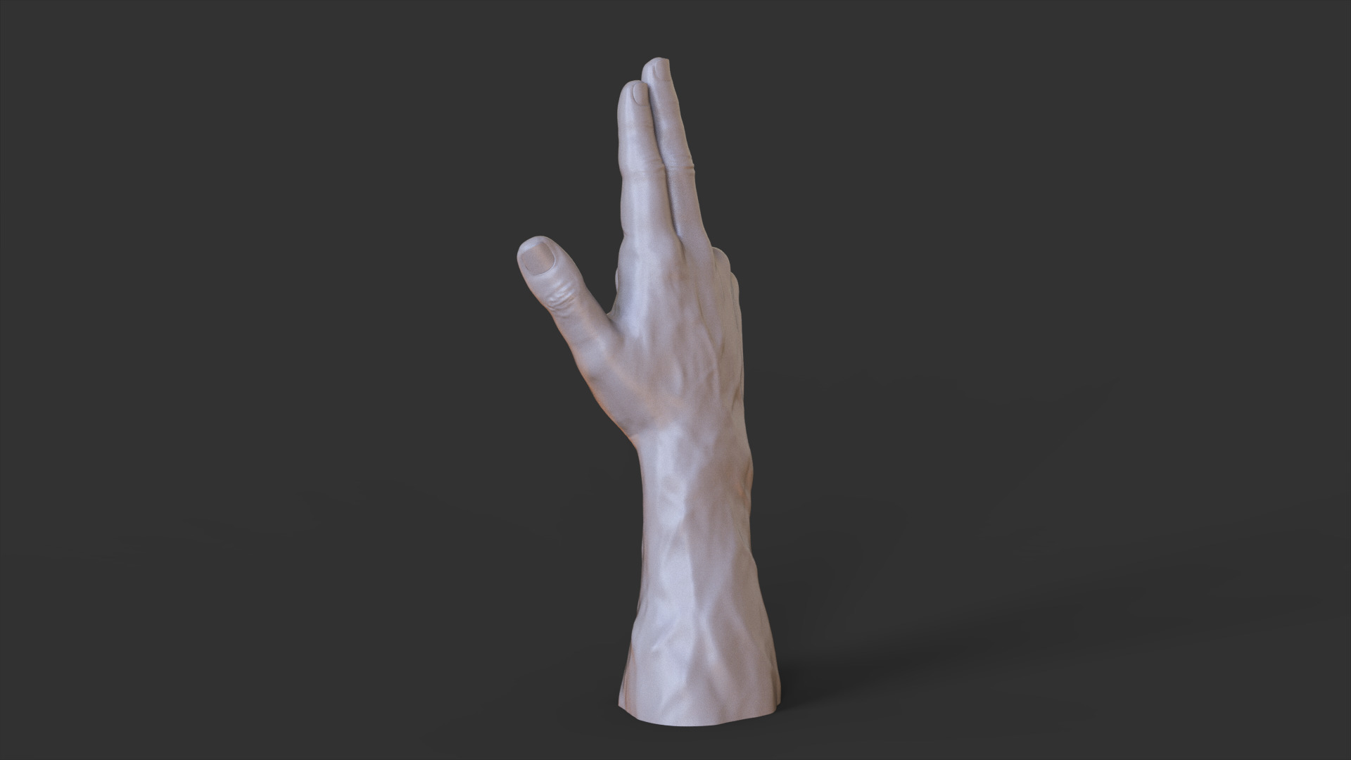 Male Hand Pose 3D print model_6