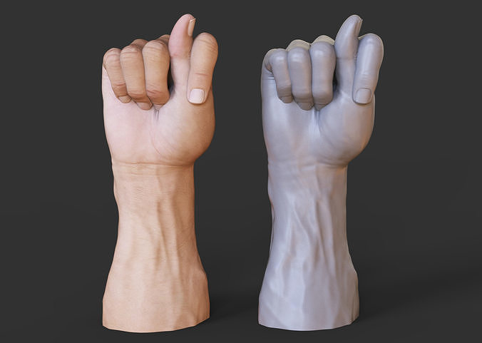 Male Hand Pose 3D print model