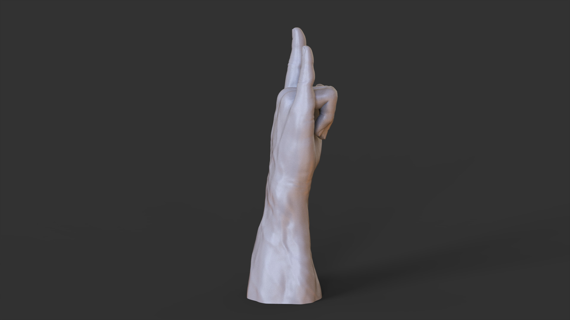 Male Hand Pose 3D print model_9