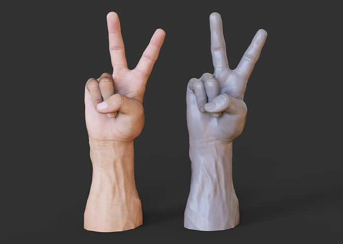 Male Hand Pose 3D print model