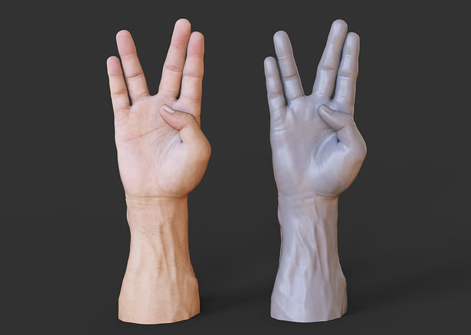 Male Hand Pose 3D print model