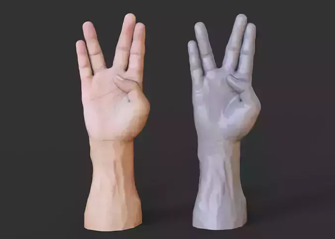 Male Hand Pose
