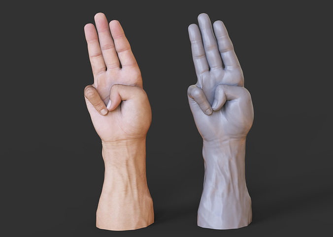 Male Hand Pose 3D print model