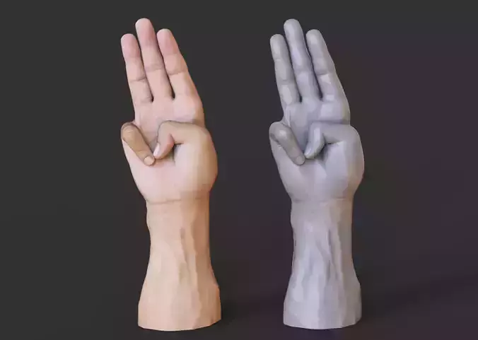 Male Hand Pose