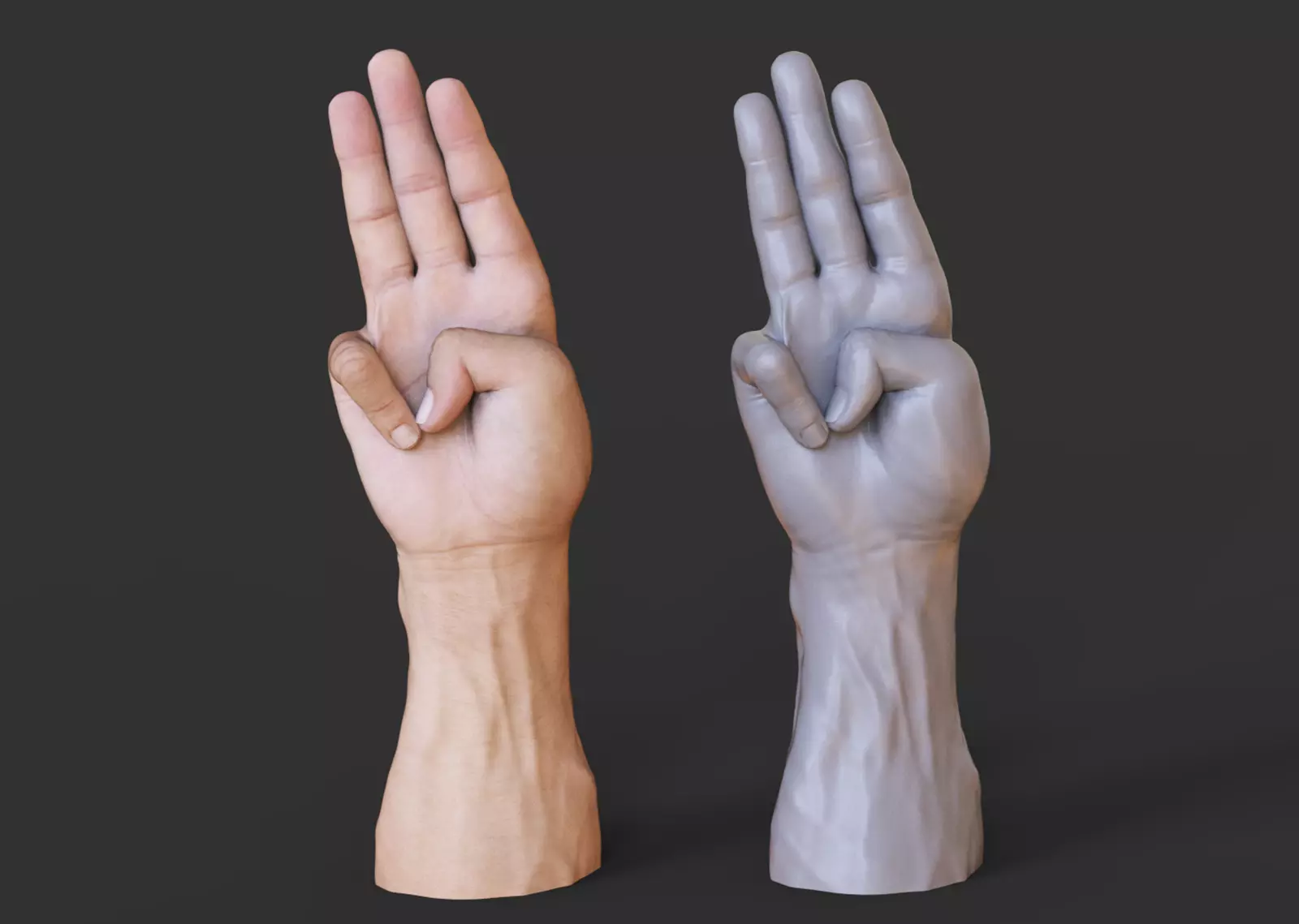 Male Hand Pose 3D print model