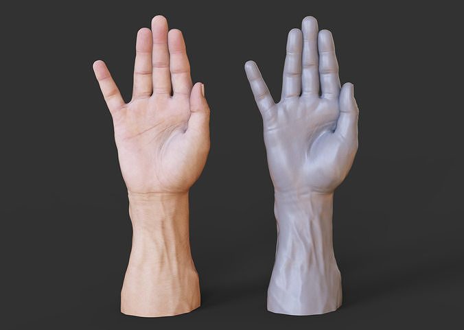 Male Hand Pose 3D print model