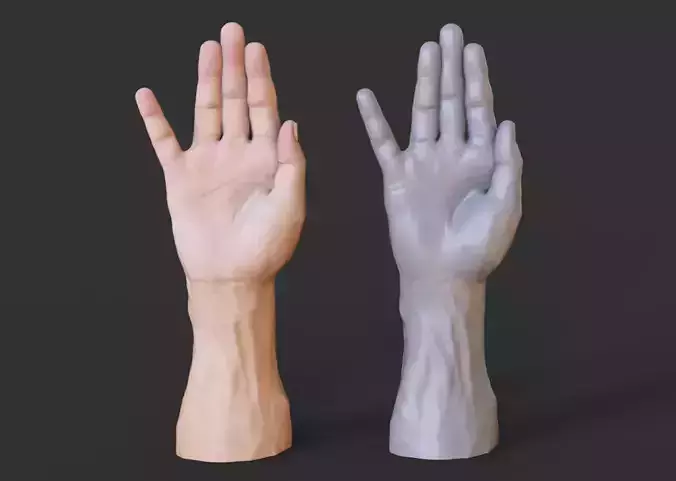 Male Hand Pose