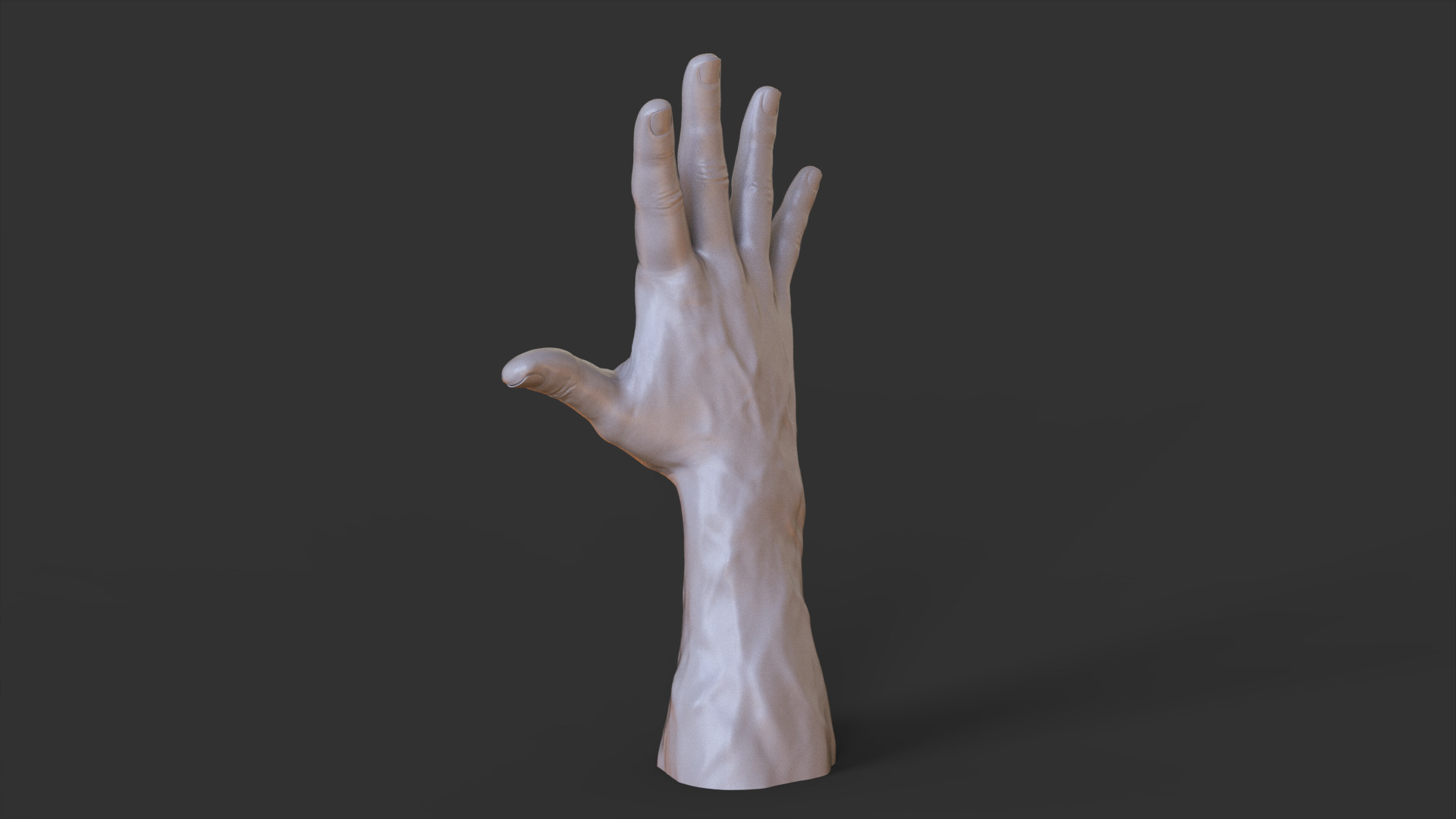 Male Hand Pose 3D print model_6