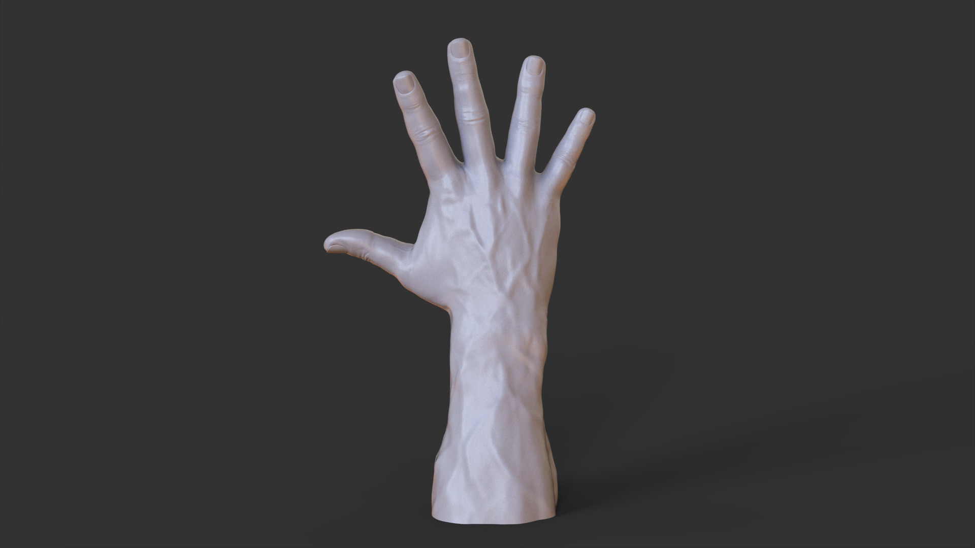 Male Hand Pose 3D print model_7