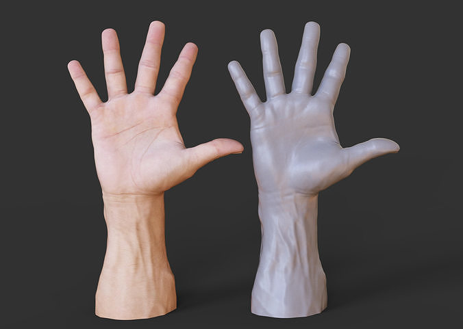 Male Hand Pose 3D print model