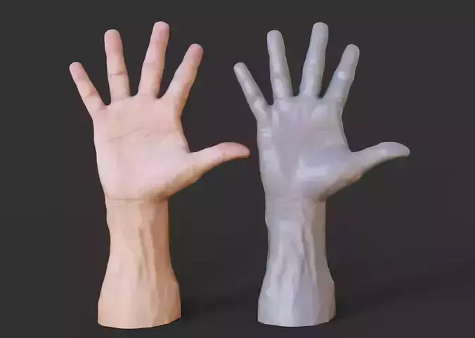 Male Hand Pose 3D print model