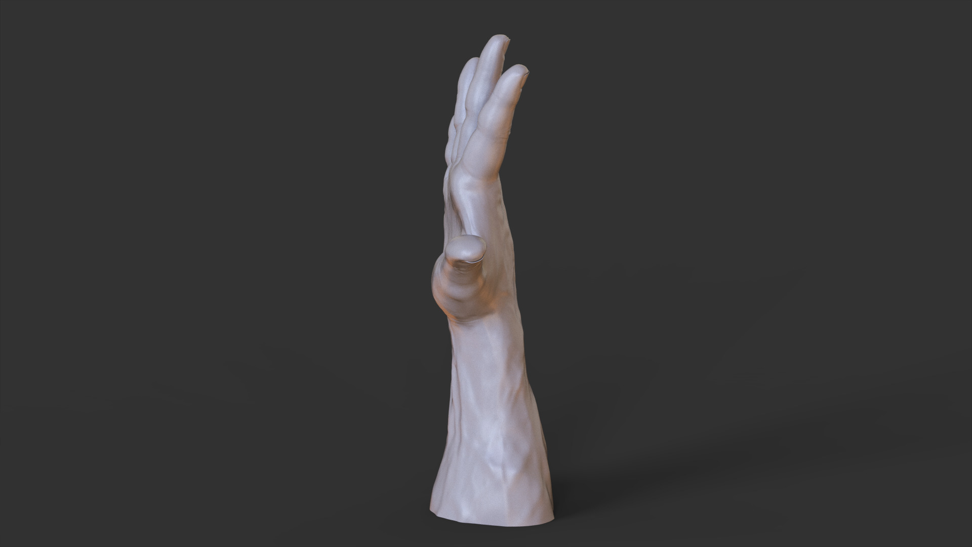 Male Hand Pose 3D print model_5