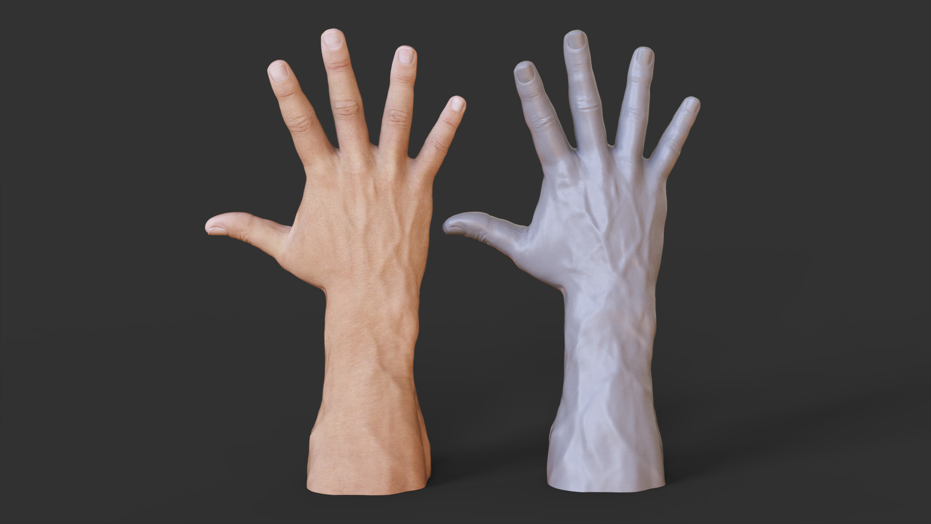 Male Hand Pose 3D print model_2