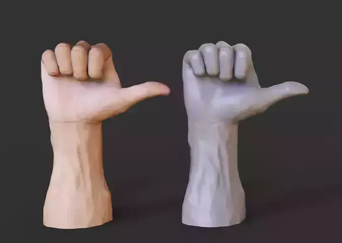 Male Hand Pose