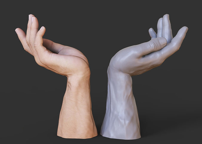 Male Hand Pose 3D print model