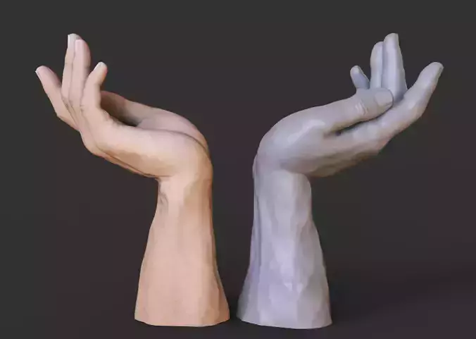 Male Hand Pose