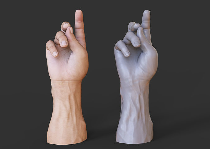 Male Hand Pose 3D print model