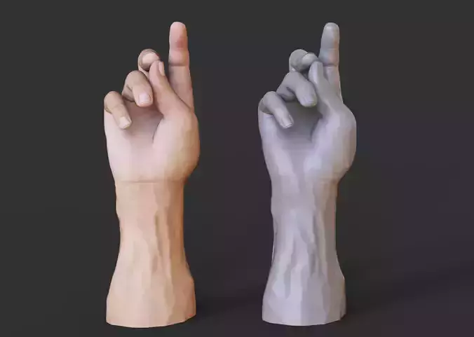 Male Hand Pose