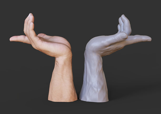 Male Hand Pose 3D print model