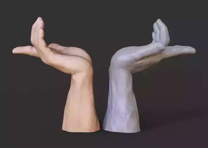 Male Hand Pose