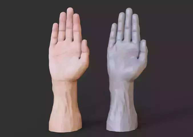 Male Hand Pose