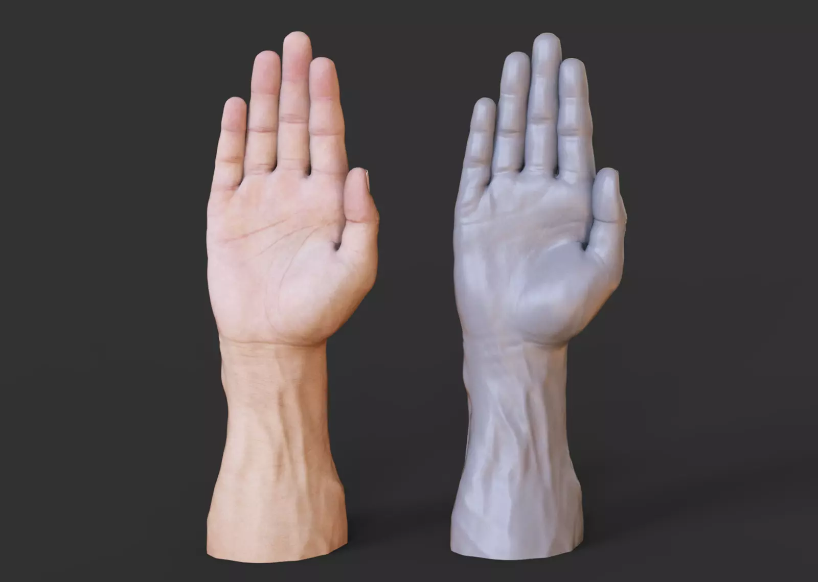 Male Hand Pose 3D print model