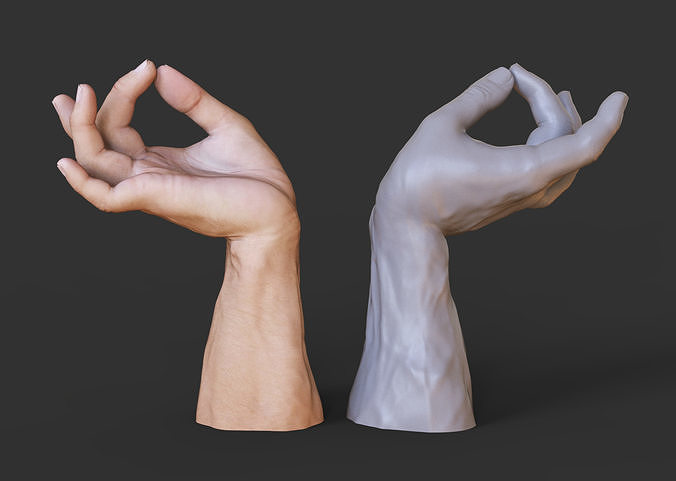 Male Hand Pose 3D print model