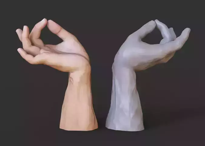 Male Hand Pose