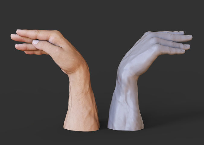 Male Hand Pose 3D print model