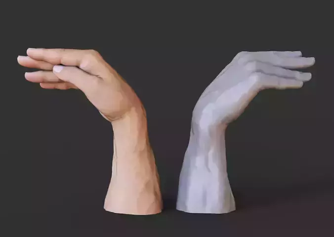 Male Hand Pose