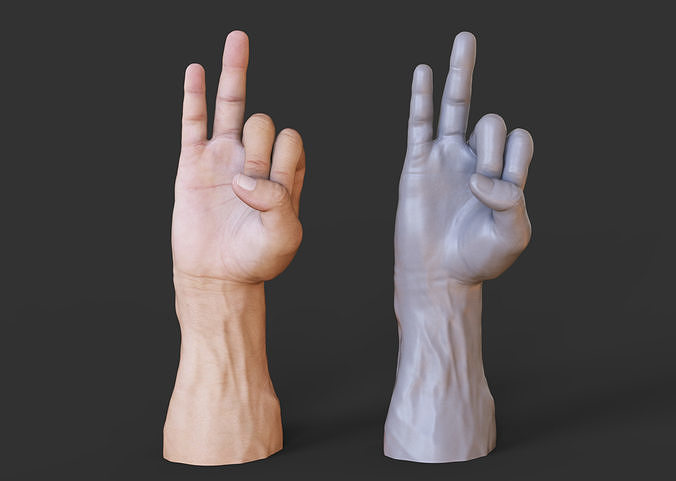 Male Hand Pose 3D print model