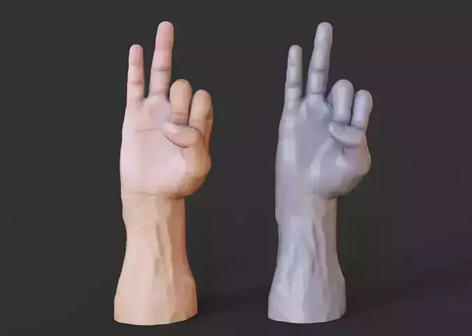 Male Hand Pose