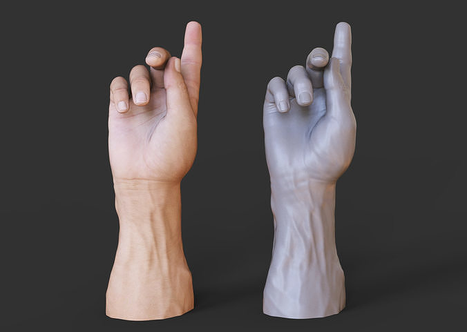 Male Hand Pose 3D print model