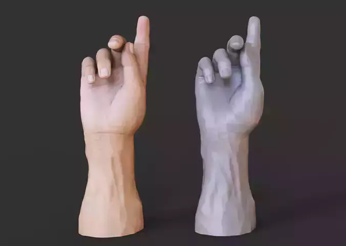 Male Hand Pose