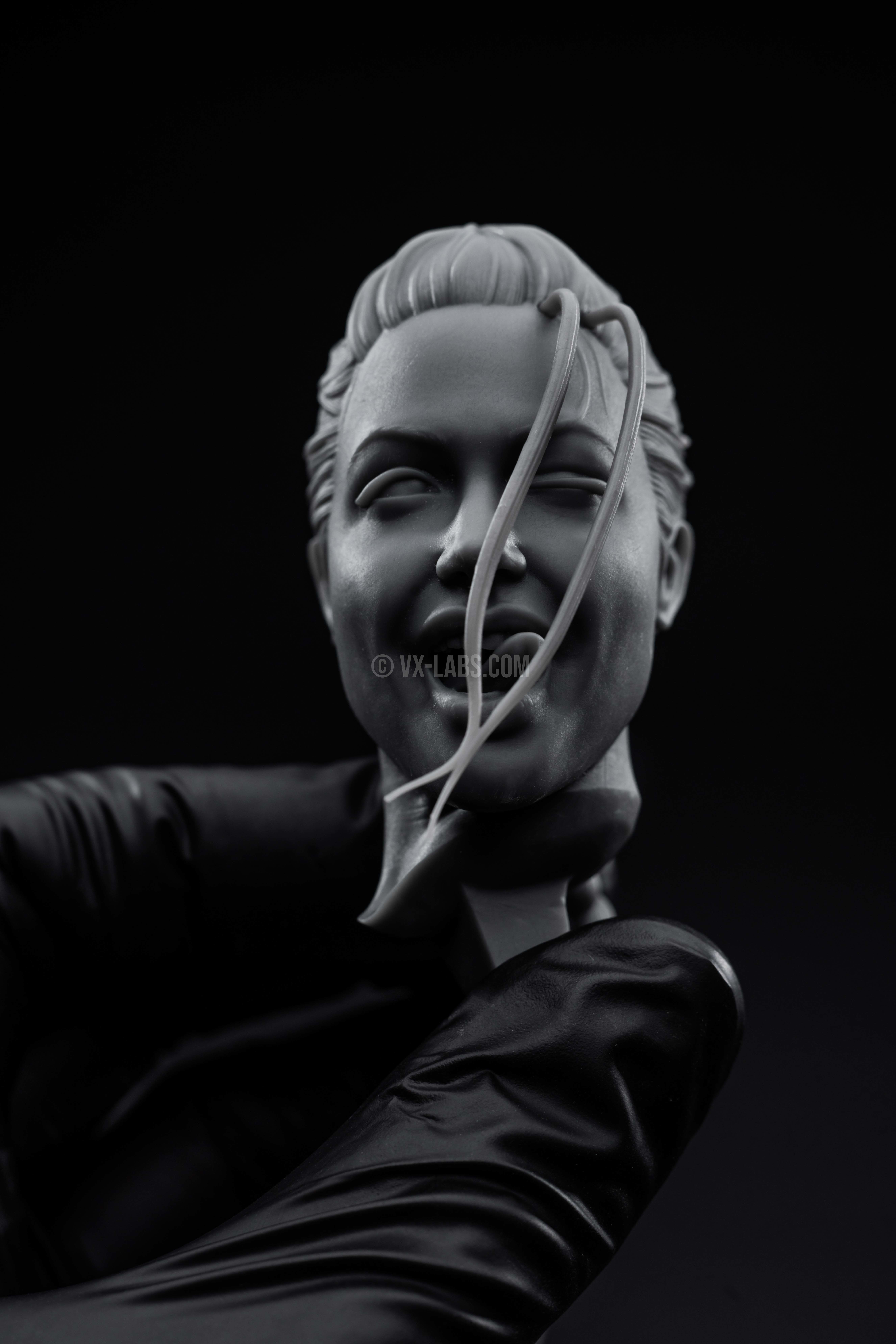 Lara Croft Tomb Raider - Angelina Jolie  3D print model_12